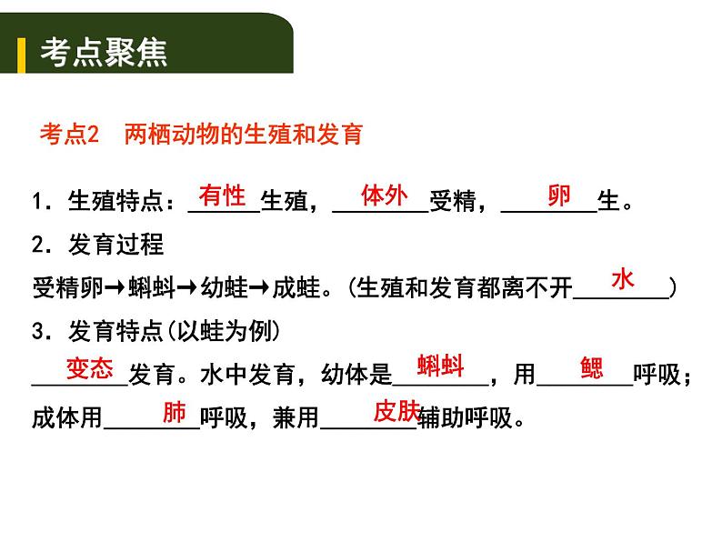 中考生物一轮复习课件7.2动、植物的生殖和发育（含答案）07