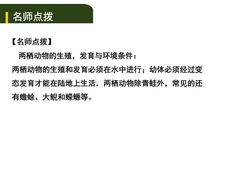 中考生物一轮复习课件7.2动、植物的生殖和发育（含答案）08