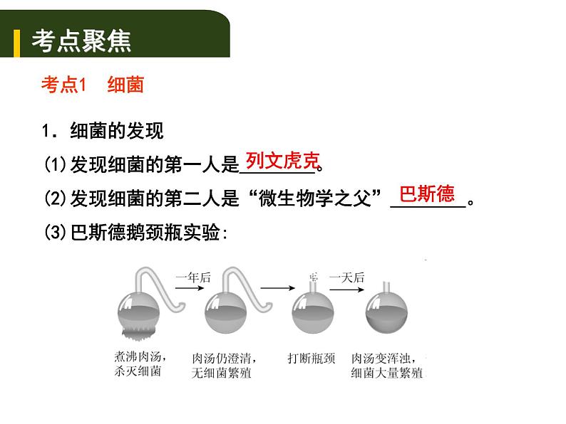 中考生物一轮复习课件8.2细菌、真菌和病毒（含答案）01