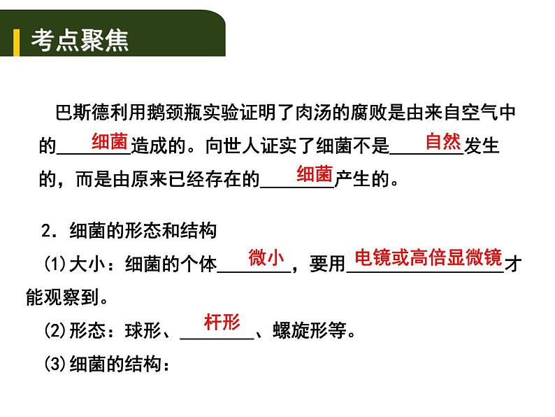 中考生物一轮复习课件8.2细菌、真菌和病毒（含答案）02