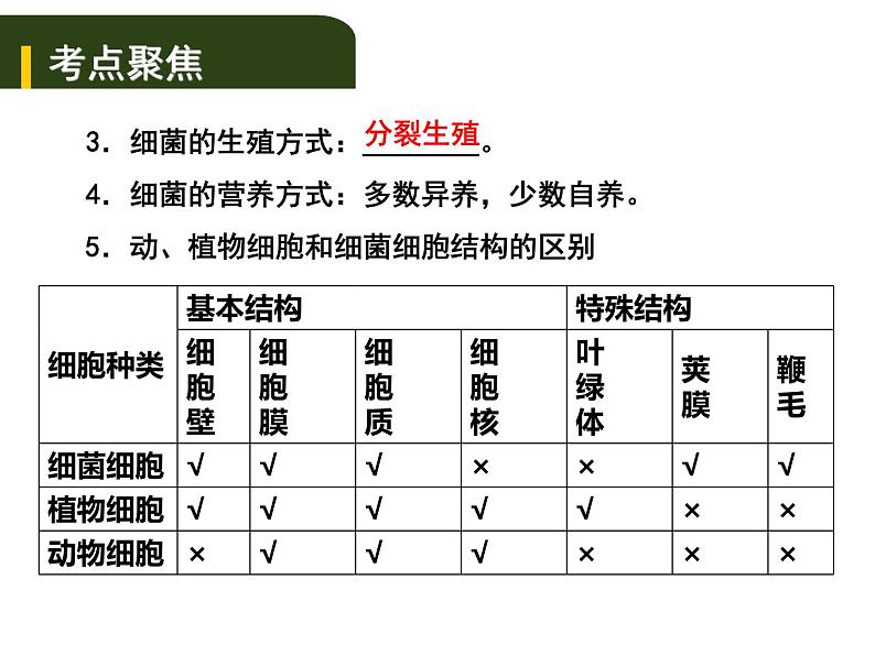 中考生物一轮复习课件8.2细菌、真菌和病毒（含答案）04