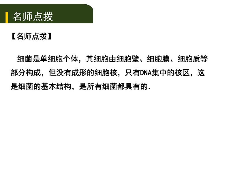 中考生物一轮复习课件8.2细菌、真菌和病毒（含答案）05