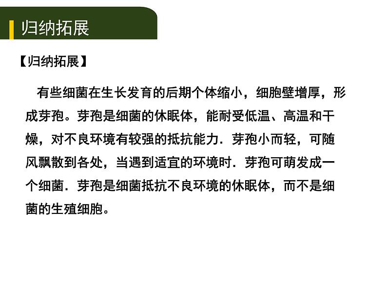 中考生物一轮复习课件8.2细菌、真菌和病毒（含答案）06