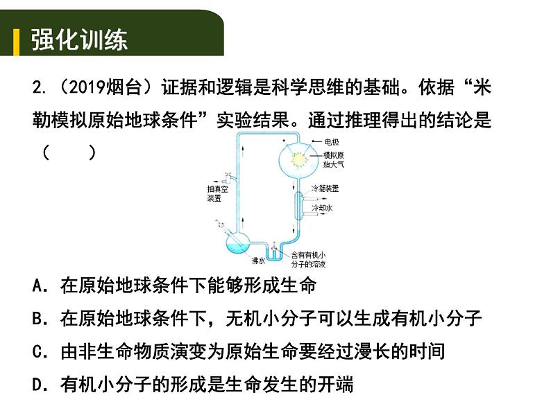 中考生物一轮复习课件8.5生命的起源和生物进化（含答案）07