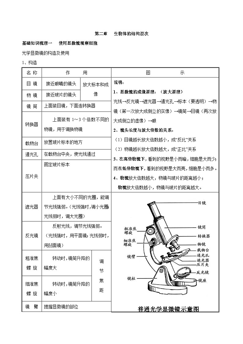 中考生物一轮复习核心考点梳理专题二 生物体的结构层次第1页