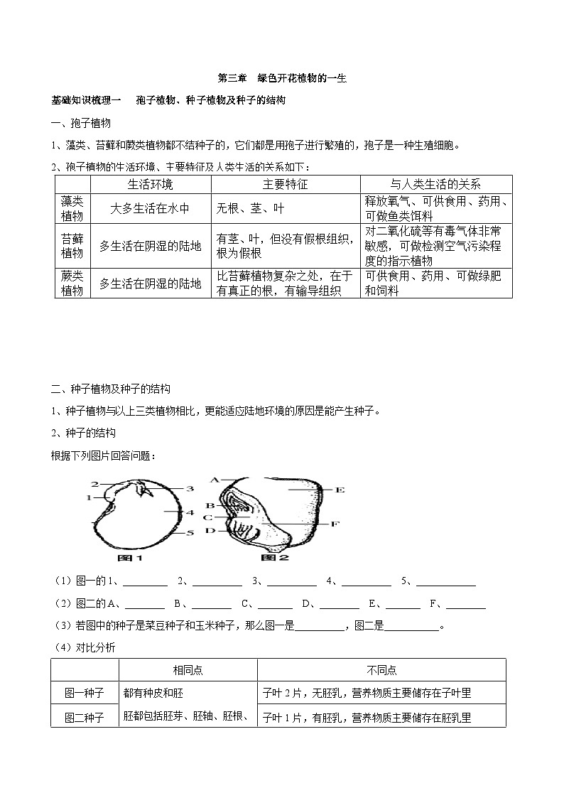 中考生物一轮复习核心考点梳理专题三 绿色开花植物的一生第1页