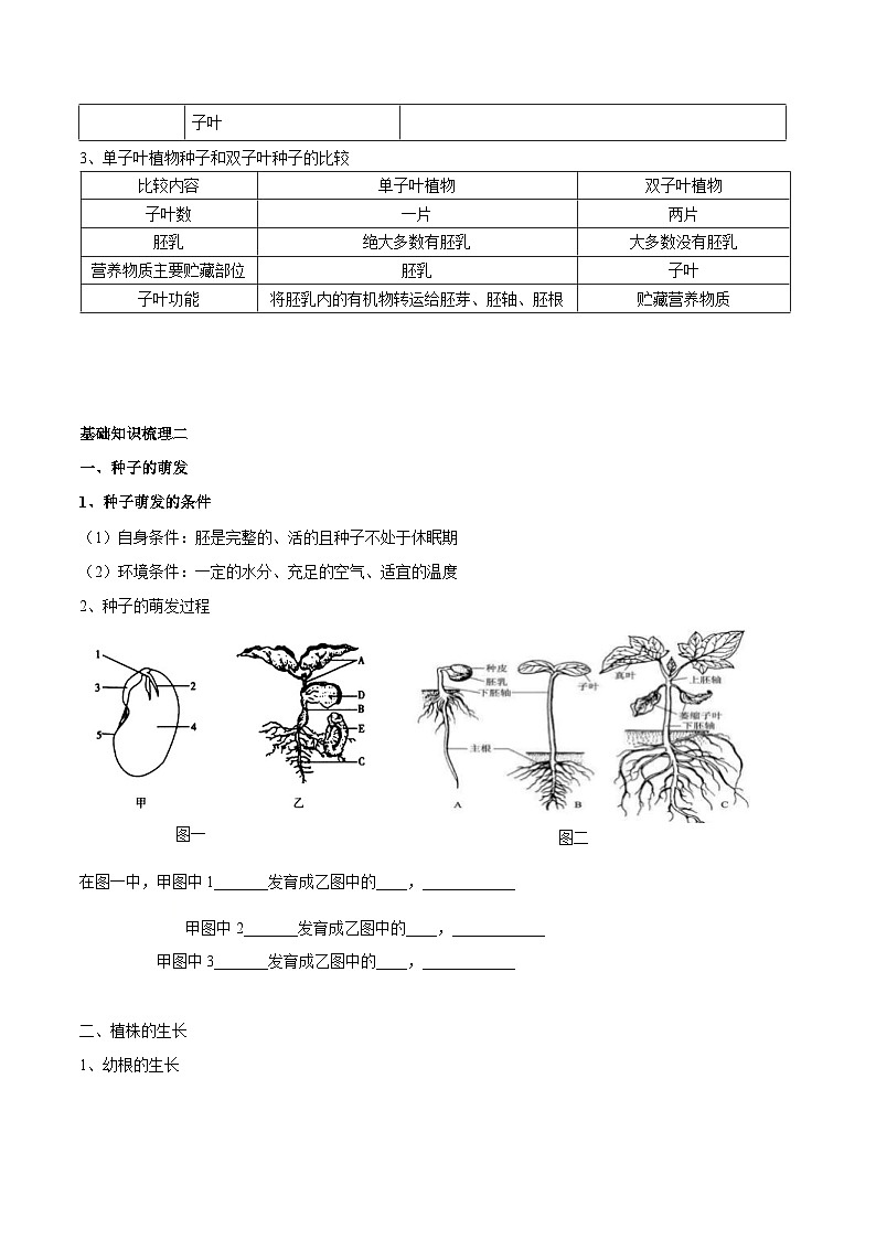 中考生物一轮复习核心考点梳理专题三 绿色开花植物的一生第2页