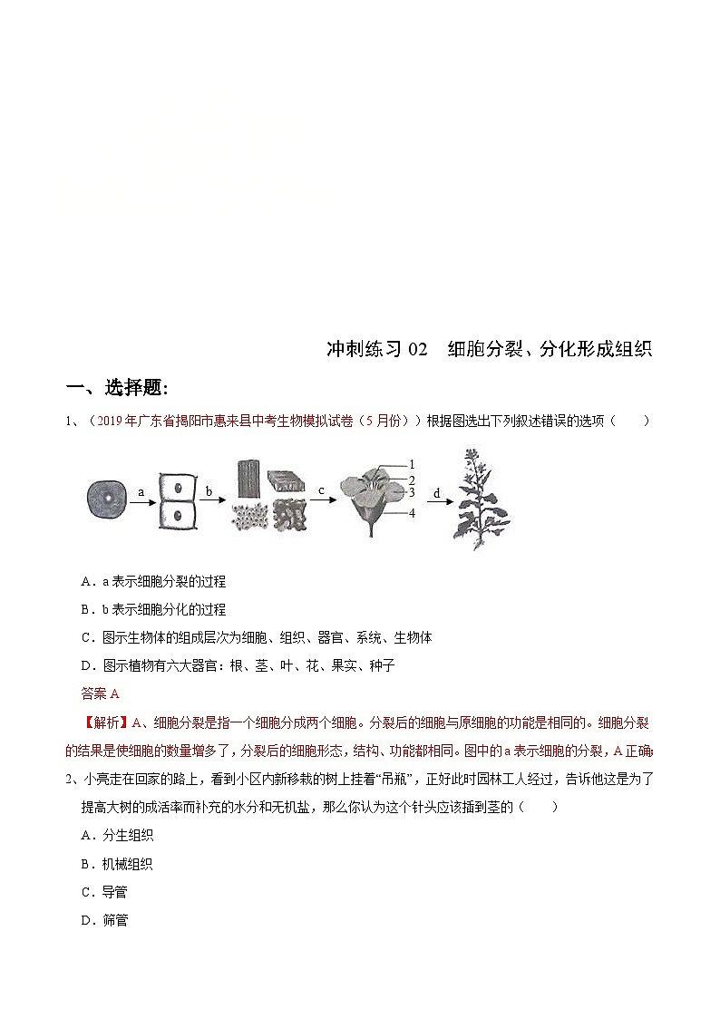 中考生物三轮复习冲刺练习02 细胞分裂、分化形成组织（含解析）第1页