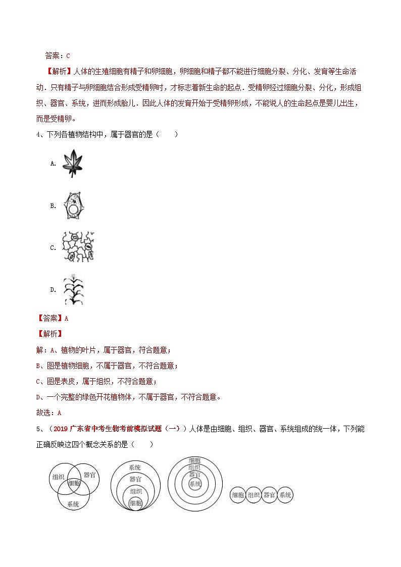 中考生物三轮复习冲刺练习03 多细胞生物的结构层次（含解析）02