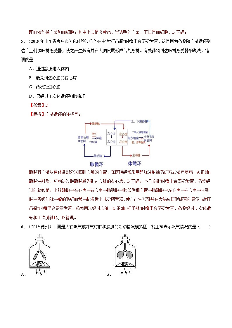 中考生物三轮复习冲刺练习11 人体生命活动的能量供给(含解析)03