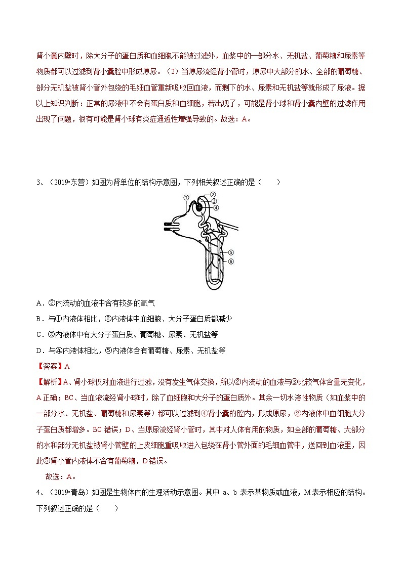 中考生物三轮复习冲刺练习12 人体代谢废物的排出(含解析)第2页