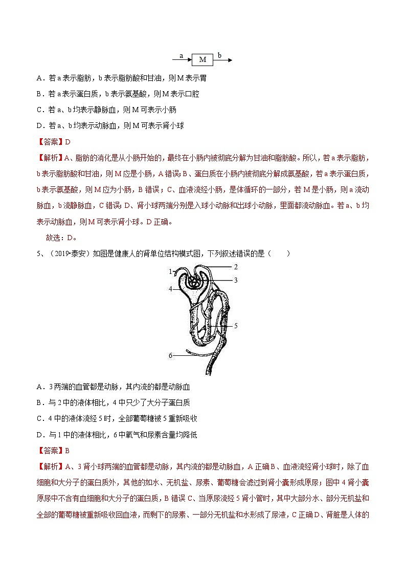 中考生物三轮复习冲刺练习12 人体代谢废物的排出(含解析)第3页