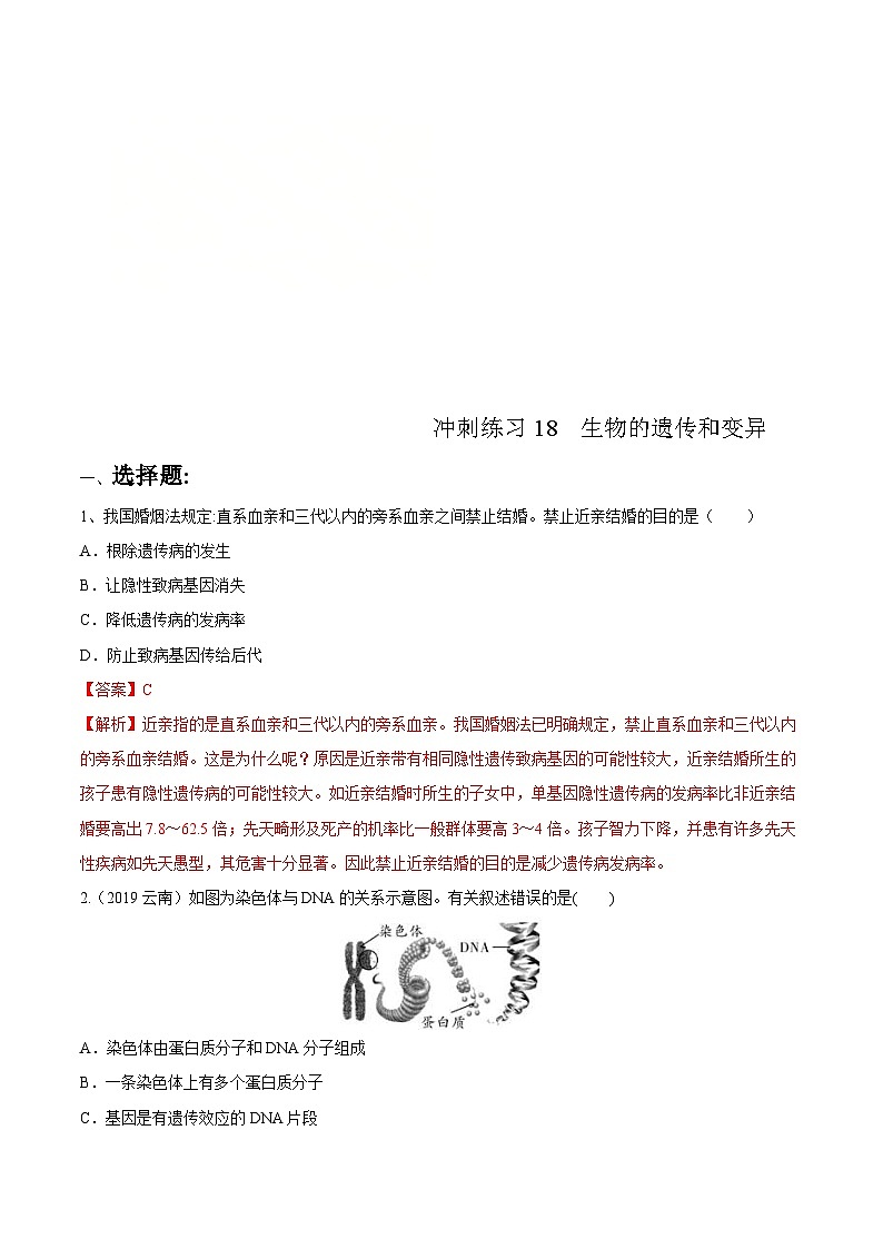 中考生物三轮复习冲刺练习18 生物的遗传和变异(含解析)01