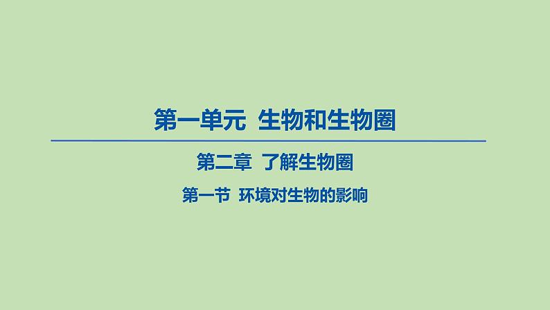 2023-2024学年六年级生物课件鲁教版（五四学制）第一节 环境对生物的影响01