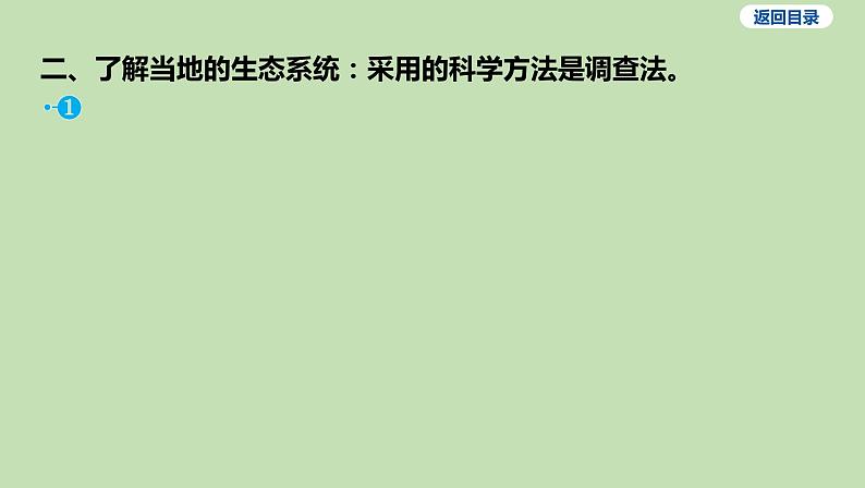 2023-2024学年六年级生物课件鲁教版（五四学制）第四节 多种多样的生态系统06