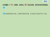 2023-2024学年六年级生物课件鲁教版（五四学制）第五节 生物圈是最大的生态系统