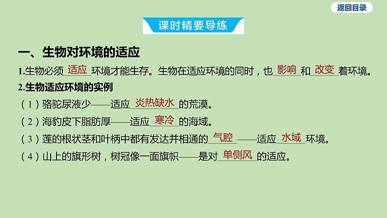 2023-2024学年六年级生物课件鲁教版（五四学制）第二节 生物对环境的适应和影响03