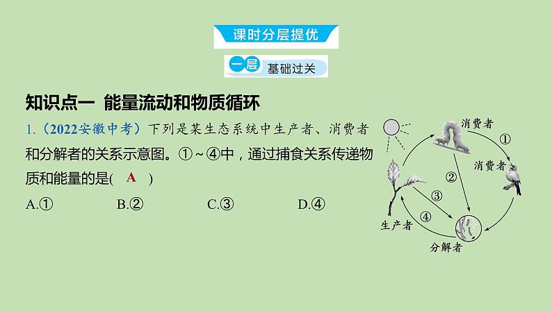 2023-2024学年六年级生物课件鲁教版（五四学制）第二章 了解生物圈第2课时 能量流动和物质循环 生态系统的自动调节能力07