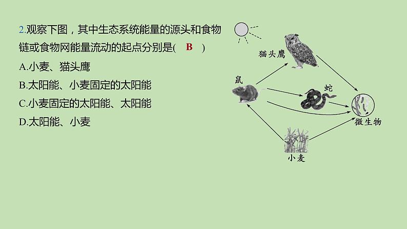 2023-2024学年六年级生物课件鲁教版（五四学制）第二章 了解生物圈第2课时 能量流动和物质循环 生态系统的自动调节能力08