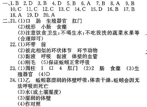 河南省洛阳市洛宁县洛宁四校2023-2024学年八年级上学期9月月考生物试题（图片版含答案）01