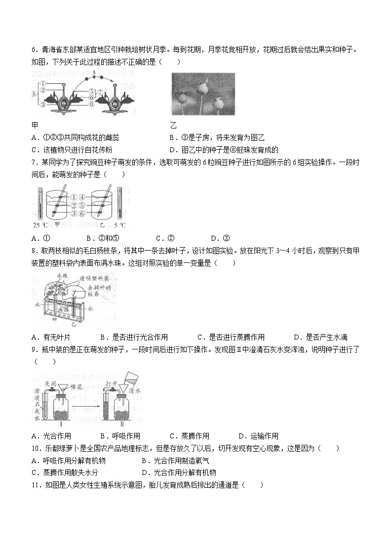 青海省海东市互助县2022-2023学年七年级下学期期中生物试题02