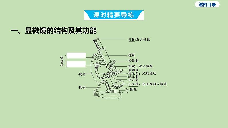 2023-2024学年六年级生物鲁教版（五四学制）课件---第一节 练习使用显微镜第3页