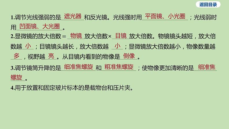 2023-2024学年六年级生物鲁教版（五四学制）课件---第一节 练习使用显微镜第4页