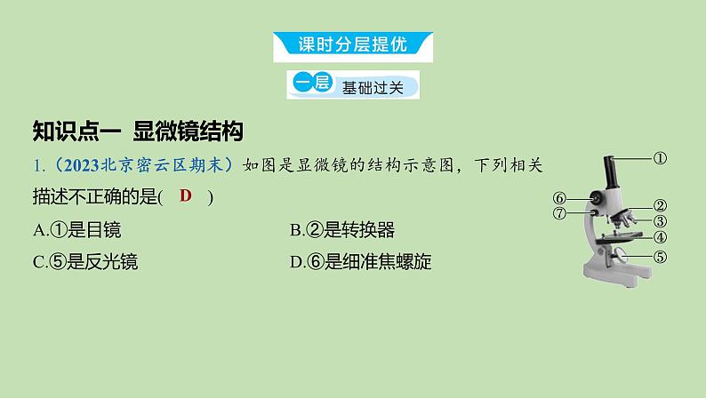 2023-2024学年六年级生物鲁教版（五四学制）课件---第一节 练习使用显微镜第8页