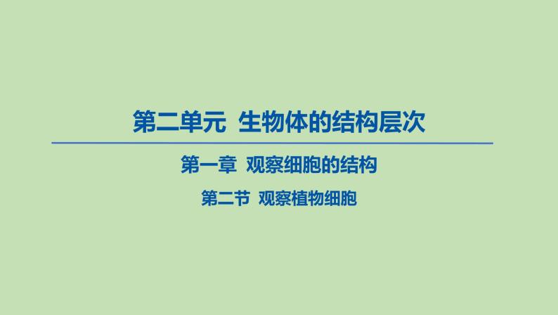 2023-2024学年六年级生物鲁教版（五四学制）课件---第二节 观察植物细胞01