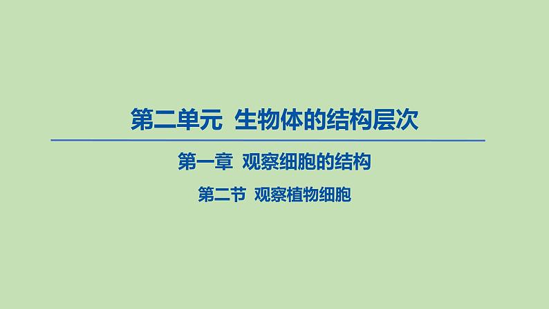 2023-2024学年六年级生物鲁教版（五四学制）课件---第二节 观察植物细胞01