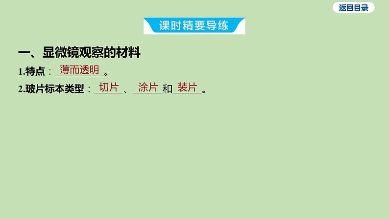 2023-2024学年六年级生物鲁教版（五四学制）课件---第二节 观察植物细胞03