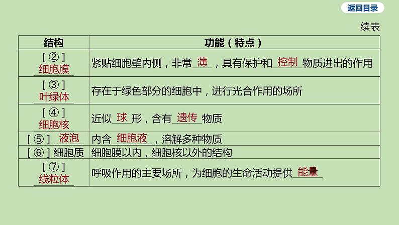 2023-2024学年六年级生物鲁教版（五四学制）课件---第二节 观察植物细胞07