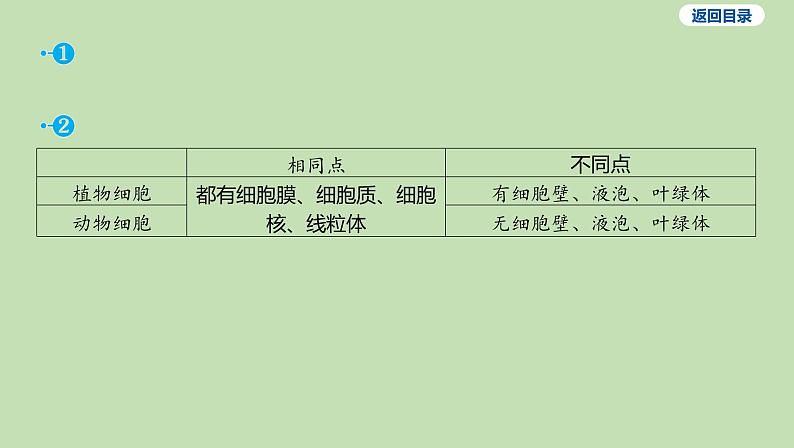 2023-2024学年六年级生物鲁教版（五四学制）课件---第三节 观察动物细胞06