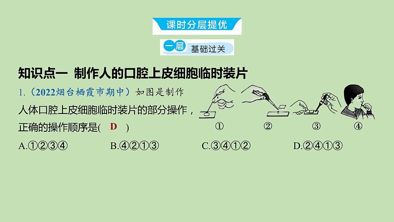 2023-2024学年六年级生物鲁教版（五四学制）课件---第三节 观察动物细胞07