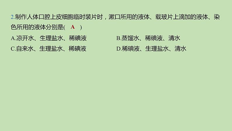 2023-2024学年六年级生物鲁教版（五四学制）课件---第三节 观察动物细胞08