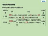 2023-2024学年六年级生物鲁教版（五四学制）课件---第一节 细胞的生活