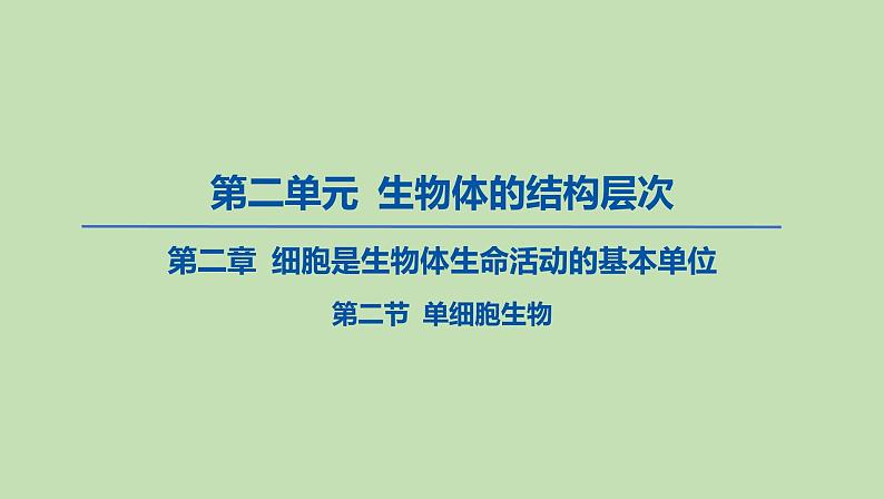 2023-2024学年六年级生物鲁教版（五四学制）课件---第二节 单细胞生物01