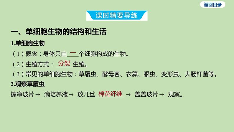 2023-2024学年六年级生物鲁教版（五四学制）课件---第二节 单细胞生物03