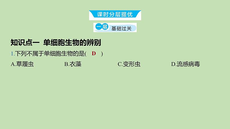 2023-2024学年六年级生物鲁教版（五四学制）课件---第二节 单细胞生物07