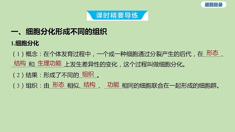 2023-2024学年六年级生物鲁教版（五四学制）课件---第二节 动物体的结构层次03