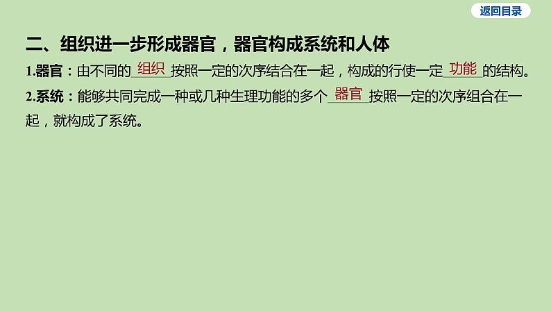 2023-2024学年六年级生物鲁教版（五四学制）课件---第二节 动物体的结构层次06