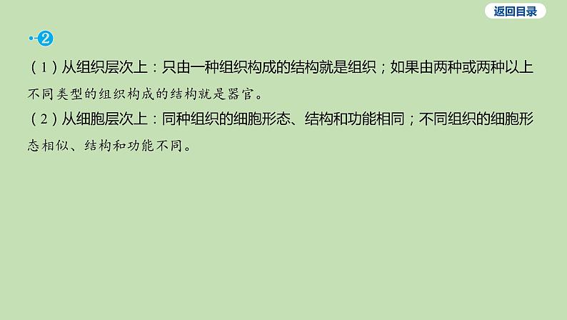 2023-2024学年六年级生物鲁教版（五四学制）课件---第二节 动物体的结构层次08