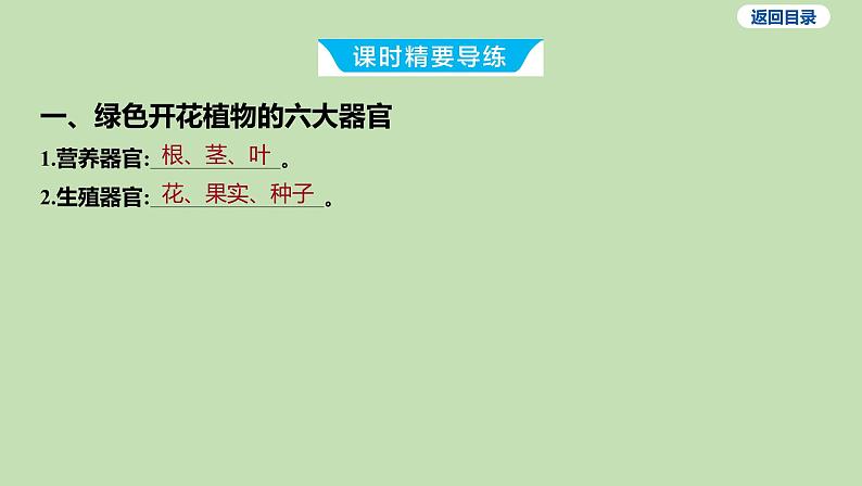 2023-2024学年六年级生物鲁教版（五四学制）课件---第三节 植物体的结构层次第3页