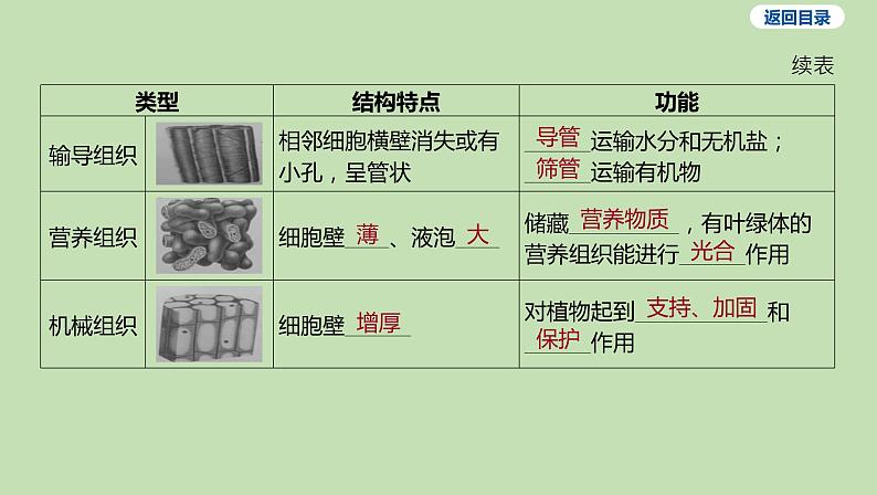 2023-2024学年六年级生物鲁教版（五四学制）课件---第三节 植物体的结构层次第5页