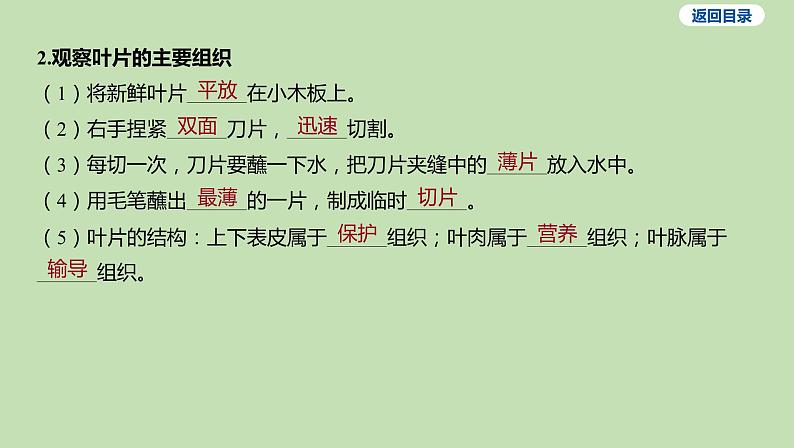 2023-2024学年六年级生物鲁教版（五四学制）课件---第三节 植物体的结构层次第6页