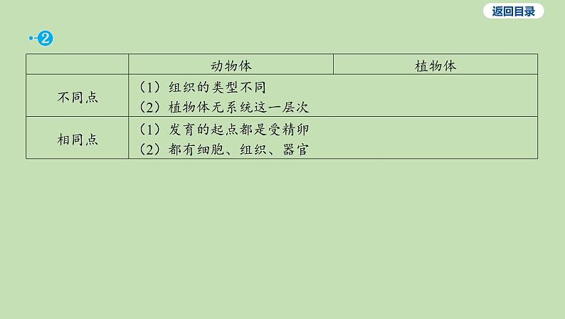 2023-2024学年六年级生物鲁教版（五四学制）课件---第三节 植物体的结构层次第8页