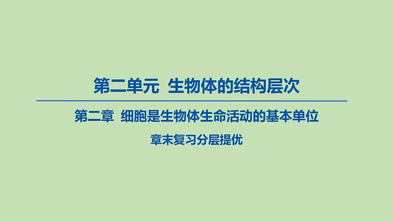 2023-2024学年六年级生物鲁教版（五四学制）课件---第二章 细胞是生物体生命活动的基本单位复习第1页