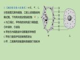 2023-2024学年六年级生物鲁教版（五四学制）课件---第二章 细胞是生物体生命活动的基本单位复习