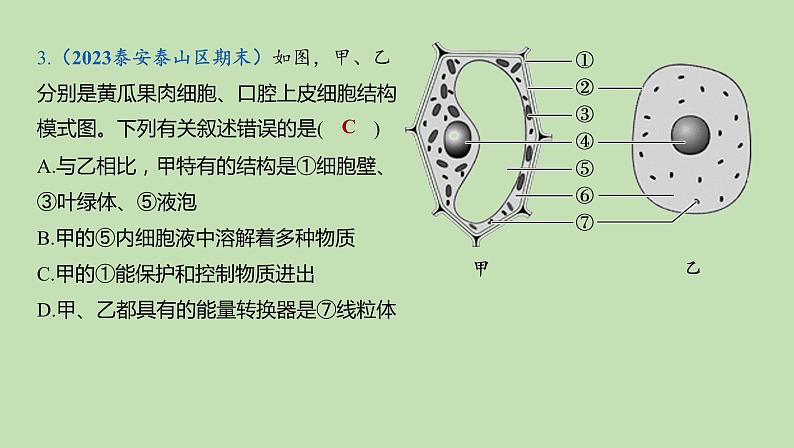 2023-2024学年六年级生物鲁教版（五四学制）课件---第二章 细胞是生物体生命活动的基本单位复习第5页