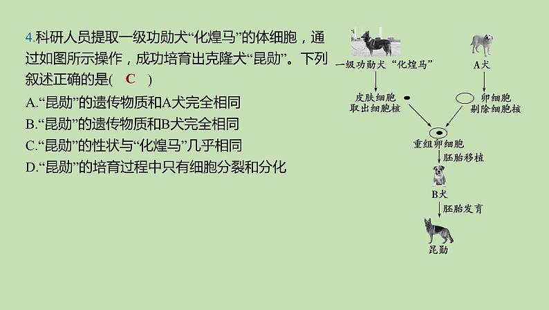 2023-2024学年六年级生物鲁教版（五四学制）课件---第二章 细胞是生物体生命活动的基本单位复习第6页